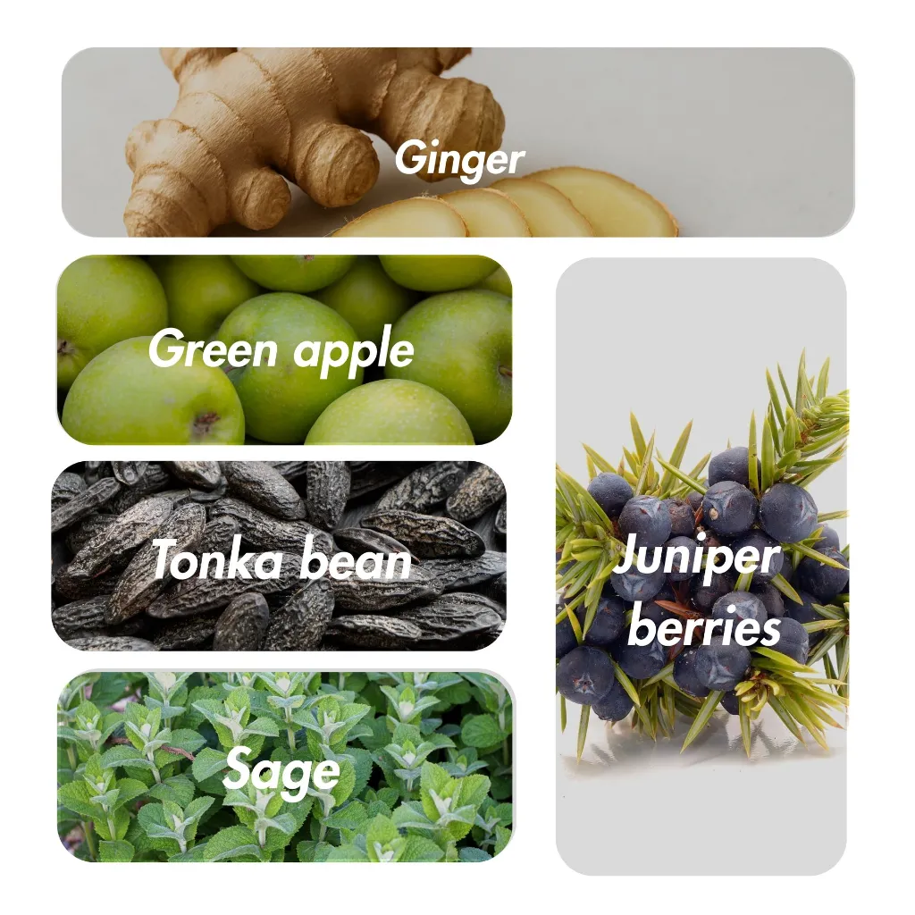 ruthland barren.webp